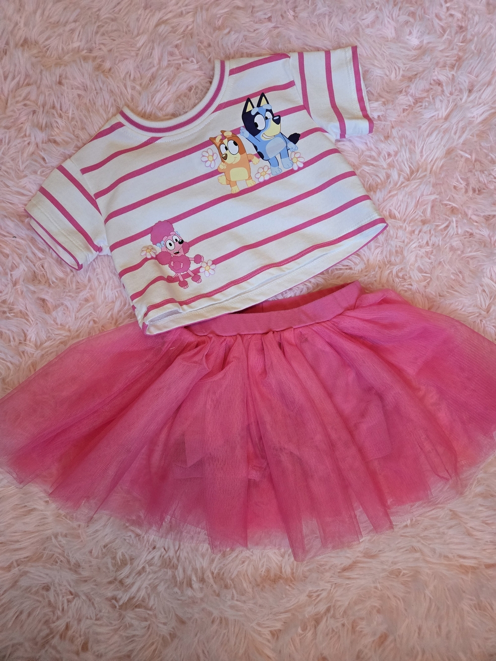 Pink Stripe Cartoon Crop Top and Hot Pink Tulle Skirt Set